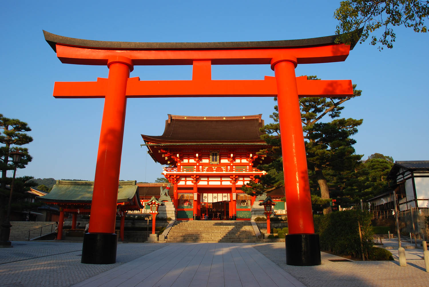 torii rouge